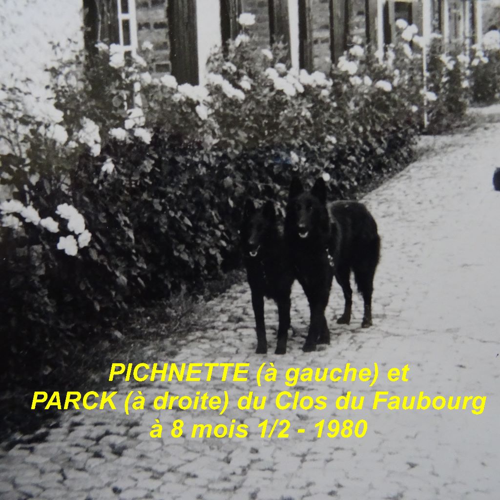 Pichnette Du clos du faubourg