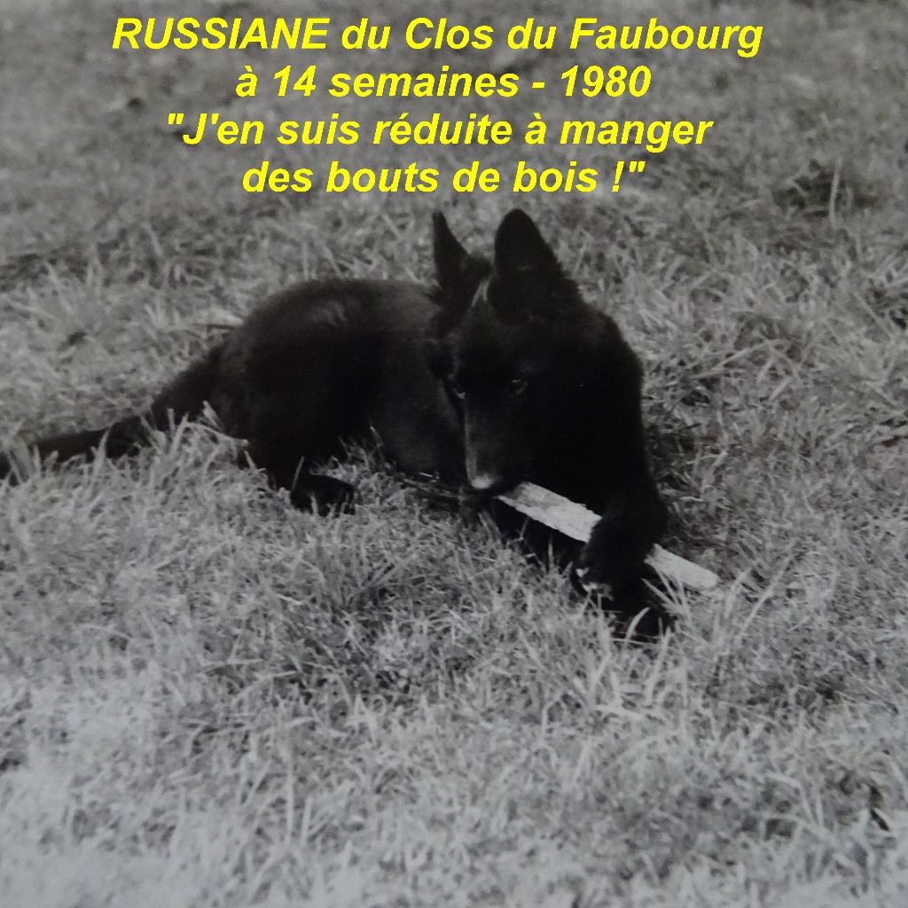 Russiane Du clos du faubourg