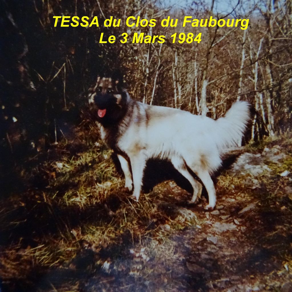 Tessa Du clos du faubourg