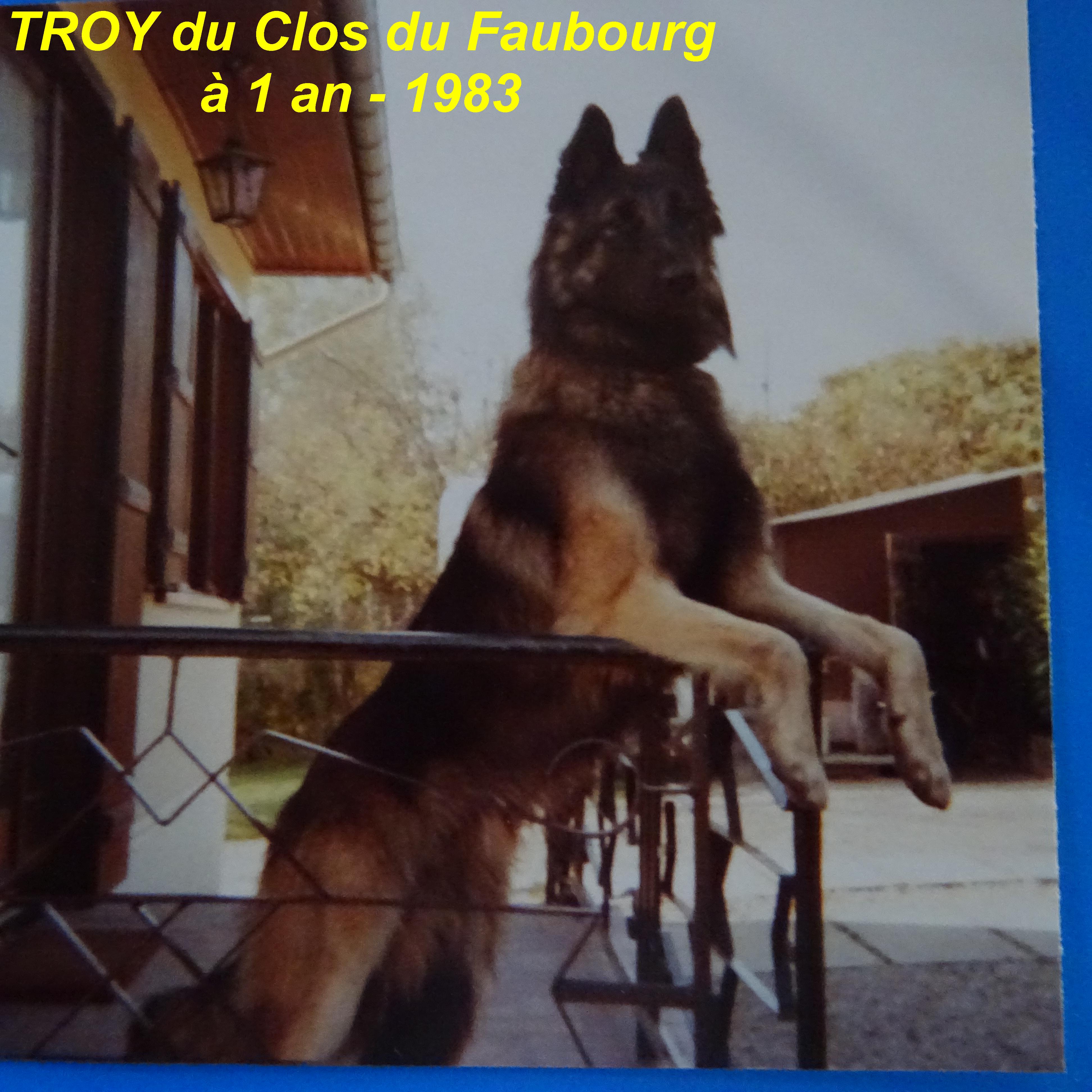 Troÿ Du clos du faubourg