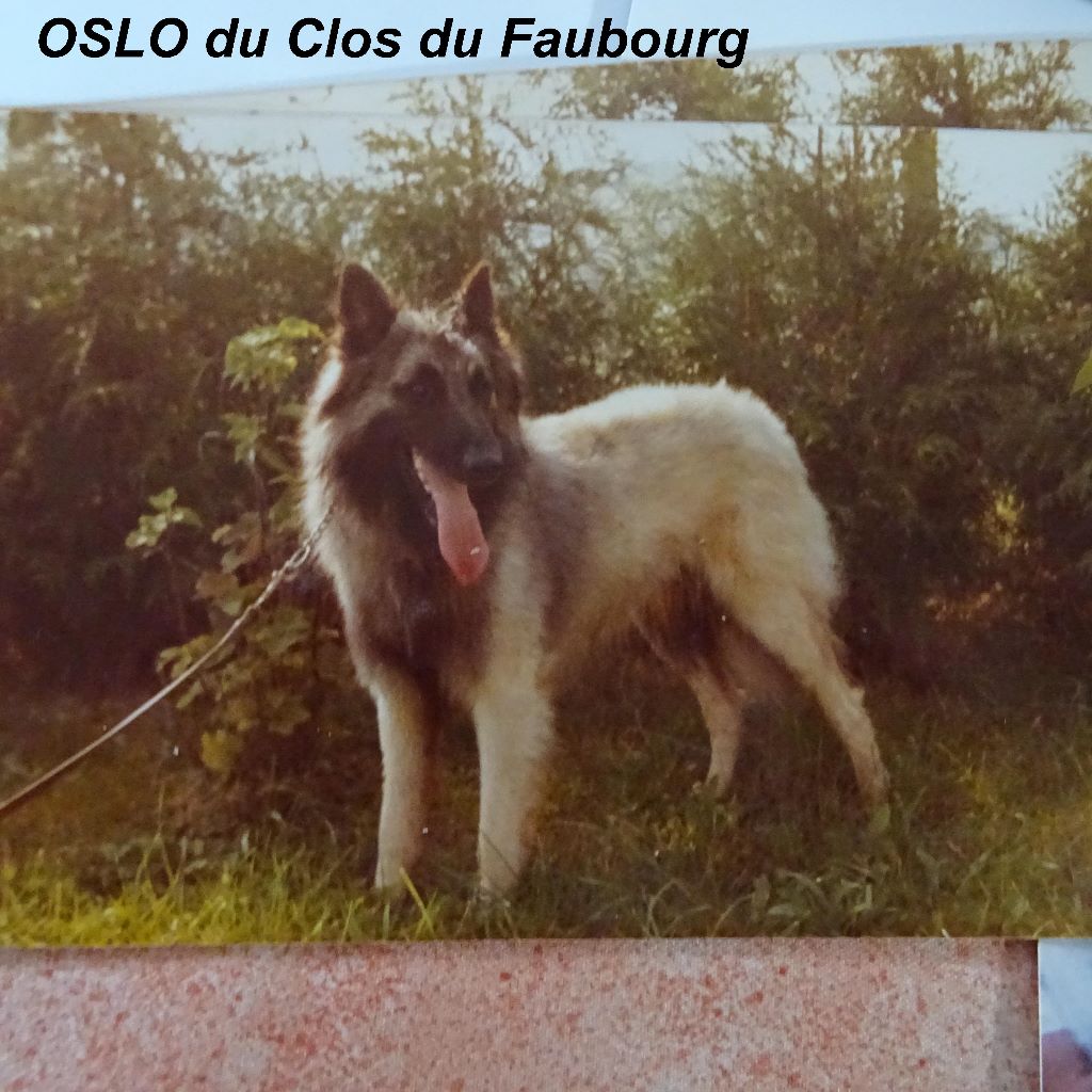 Oslo Du clos du faubourg