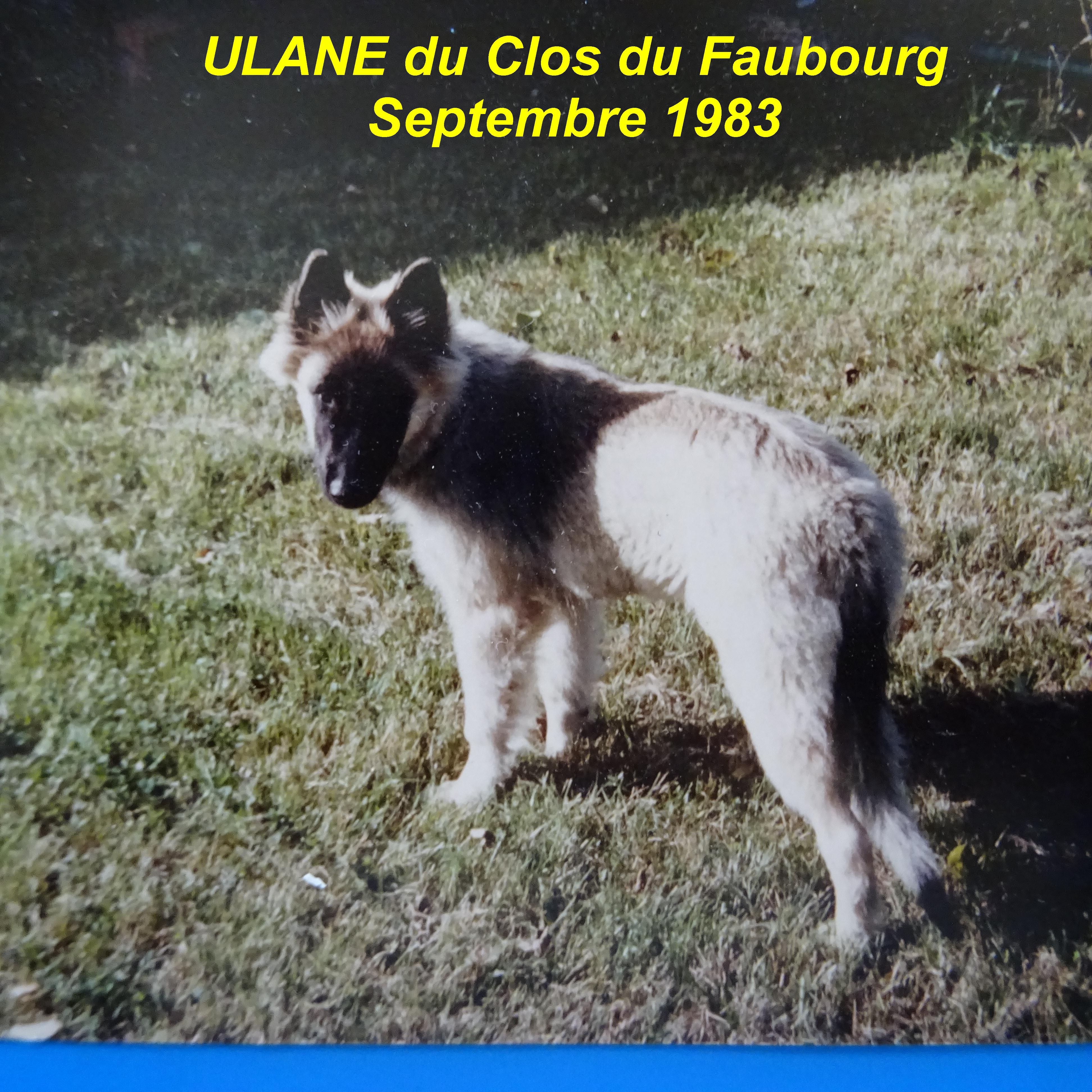 Ulane Du clos du faubourg