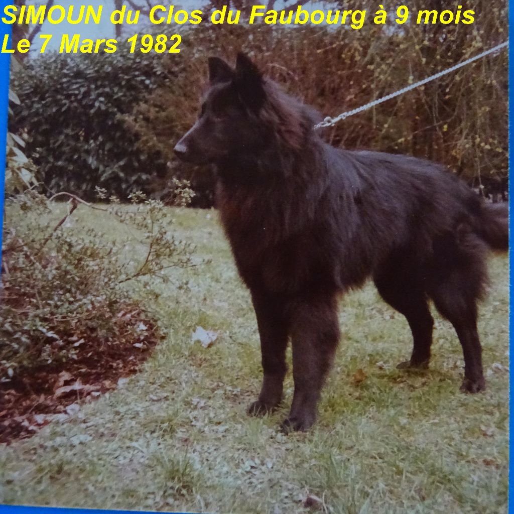 Simoun Du clos du faubourg