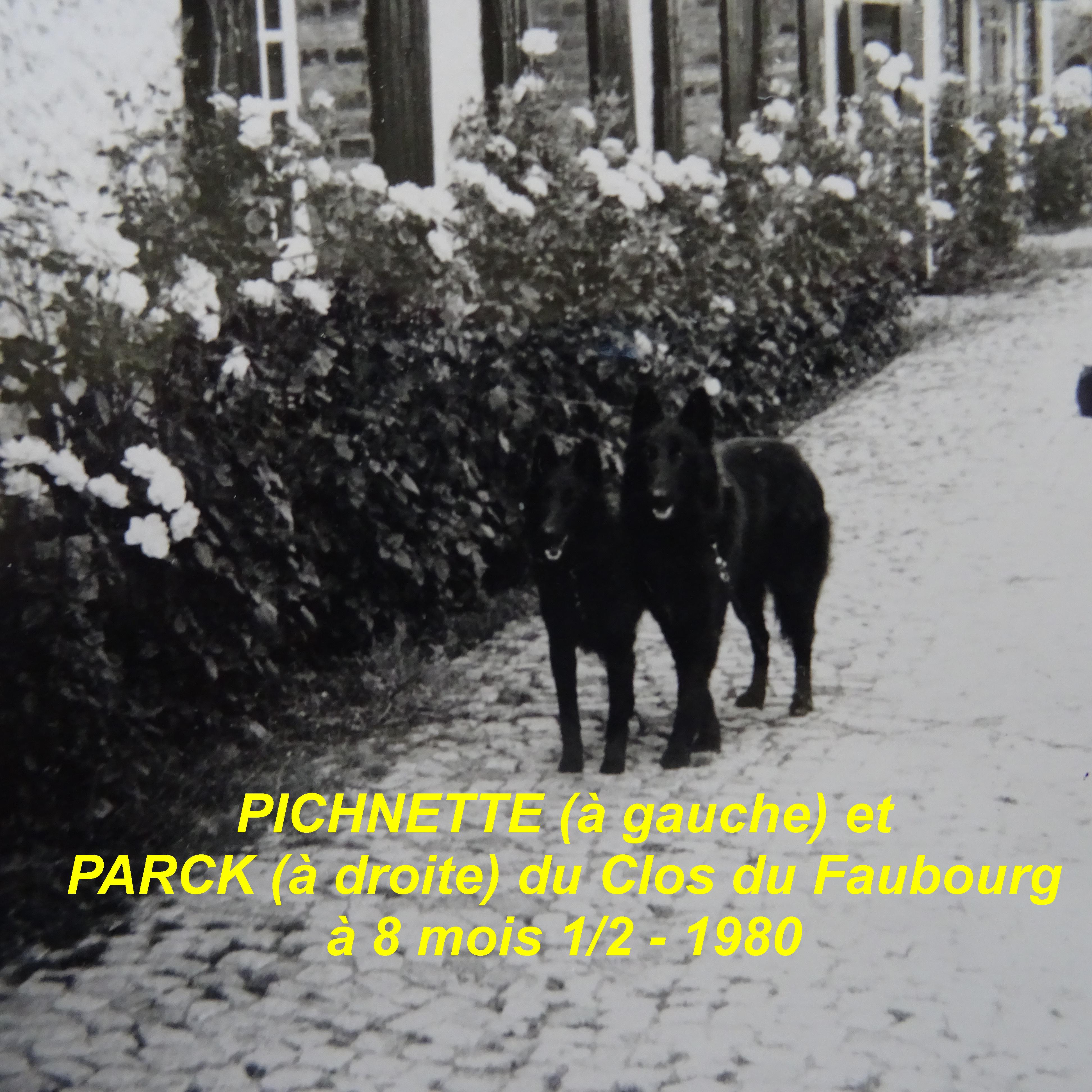 Parck Du clos du faubourg