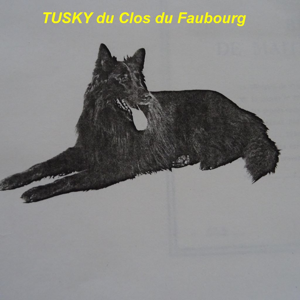 Tusky Du clos du faubourg