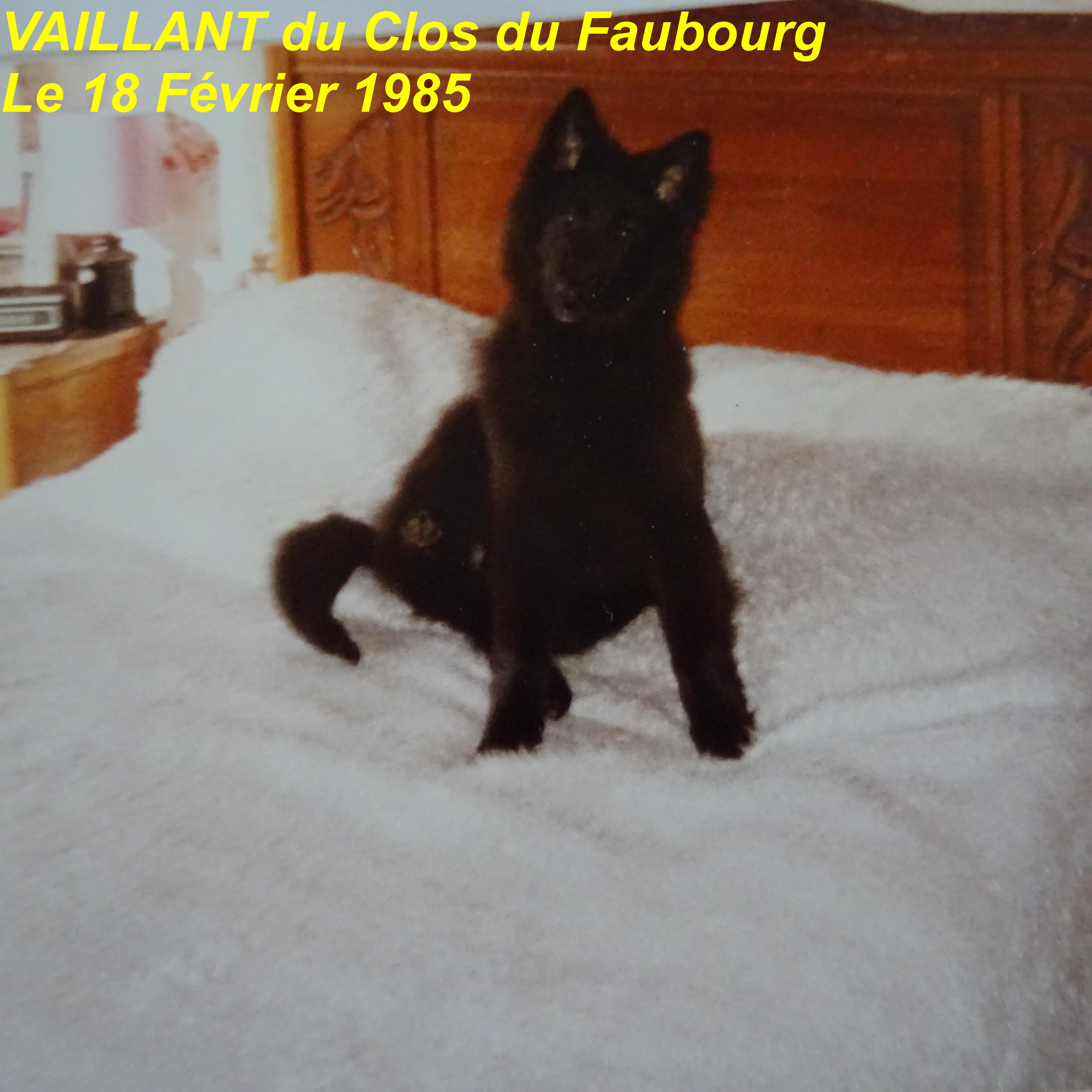 Vaillant Du clos du faubourg