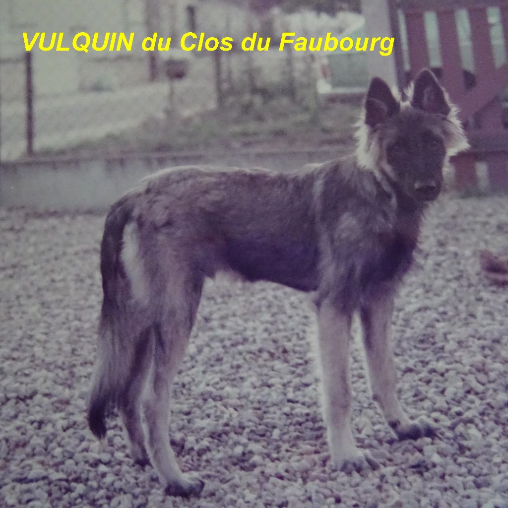 Vulquin Du clos du faubourg