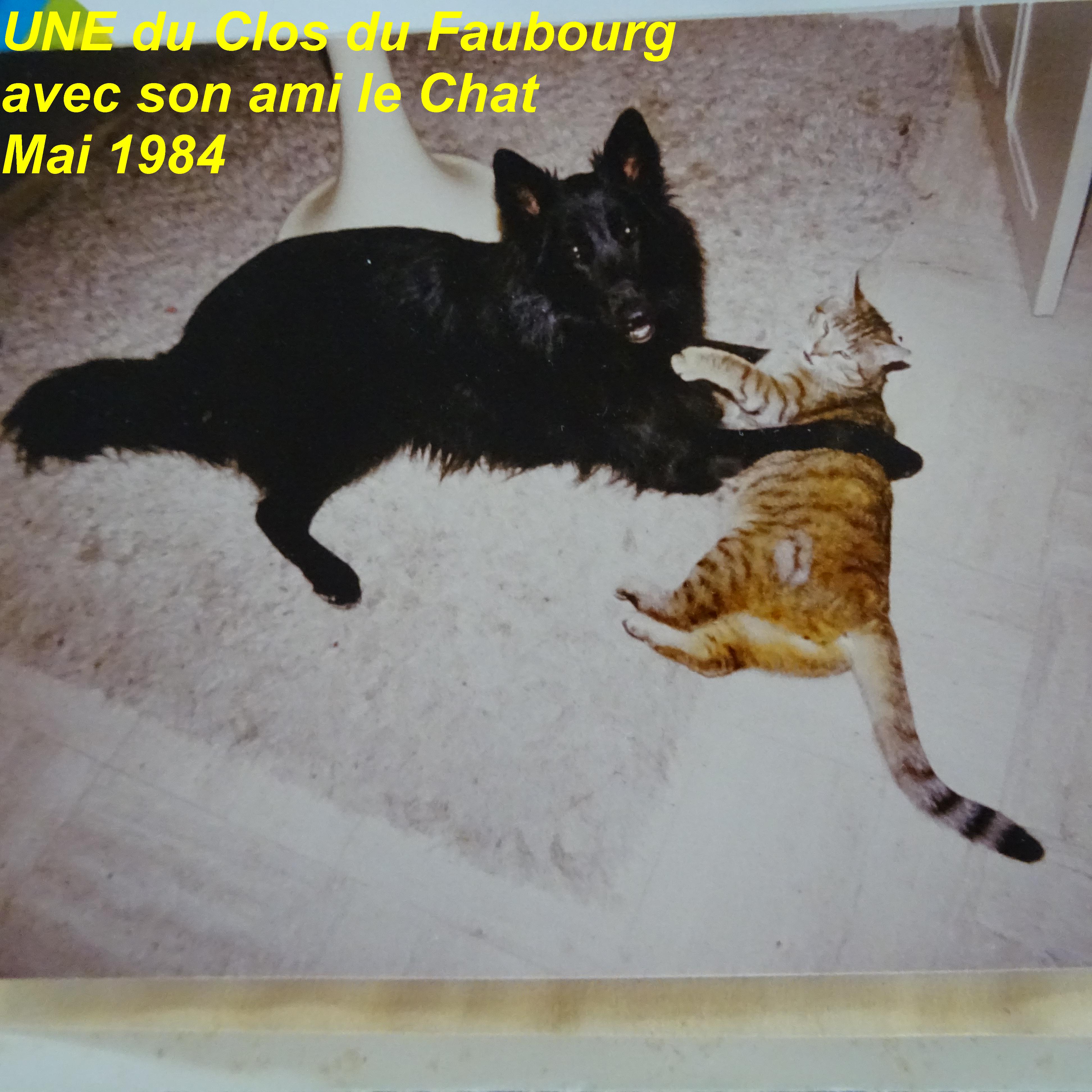 Une Du clos du faubourg
