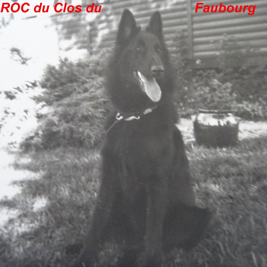 Roc Du clos du faubourg