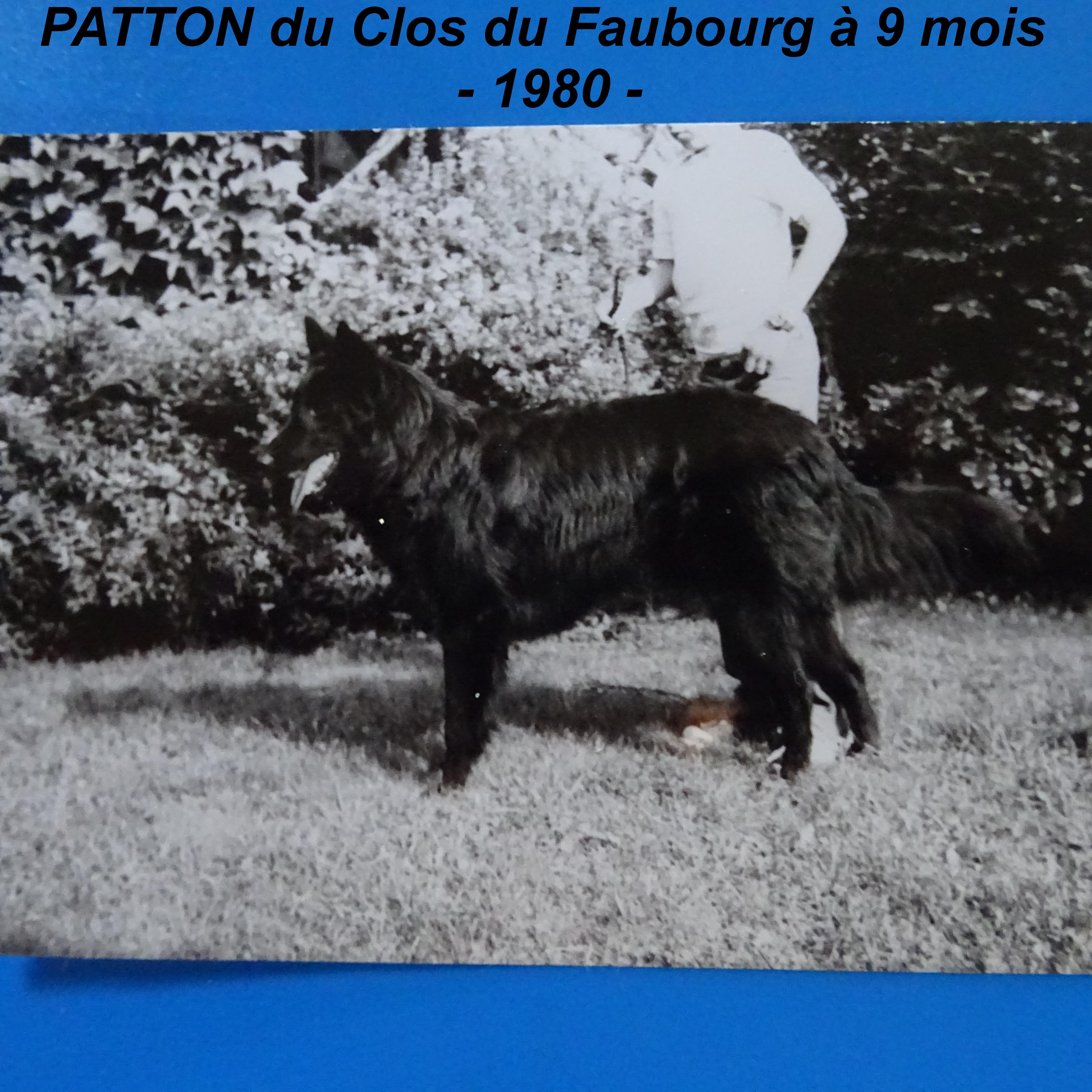 Patton Du clos du faubourg
