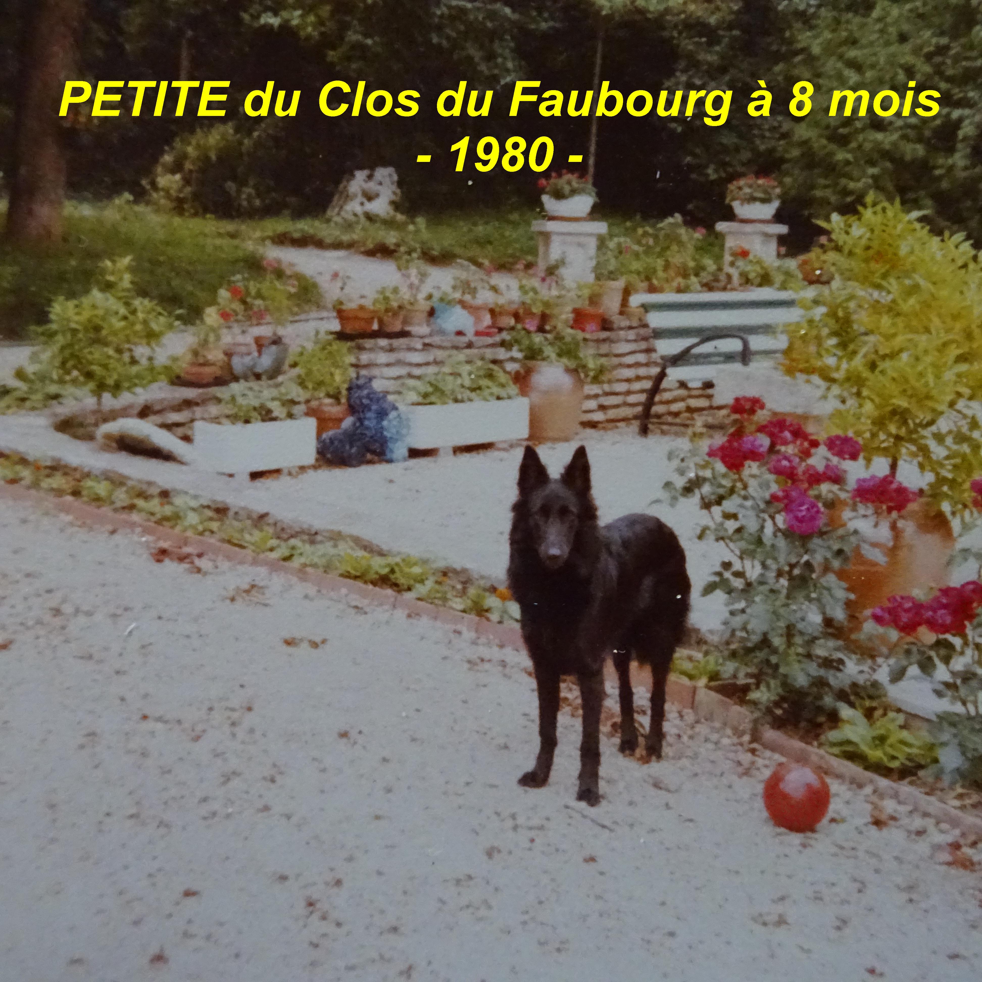 Petite Du clos du faubourg