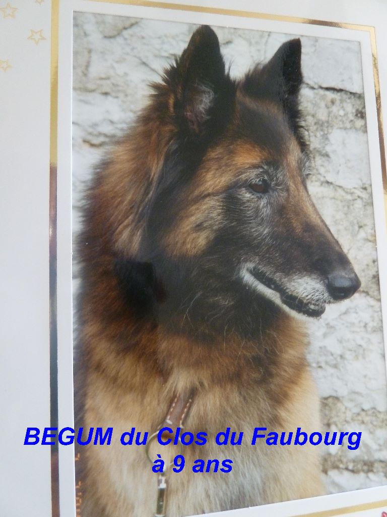 Begum Du clos du faubourg