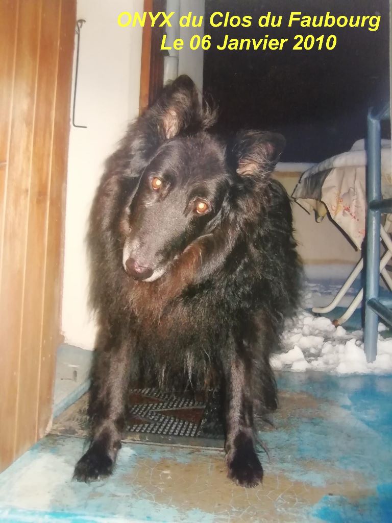 Onyx (1998) Du clos du faubourg
