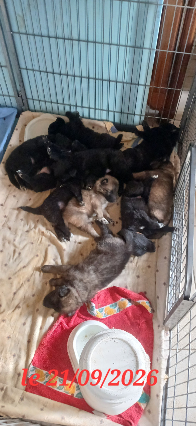 Naissance au Clos du Faubourg